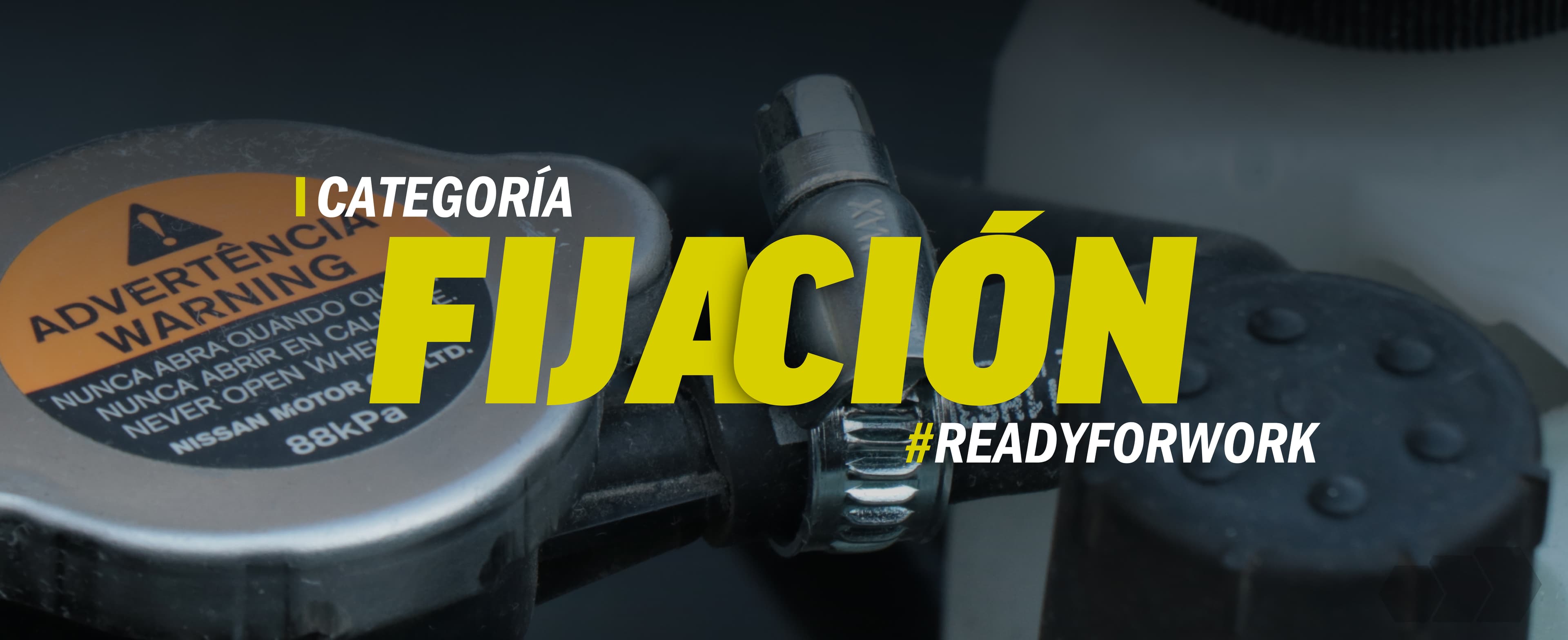 Fijación